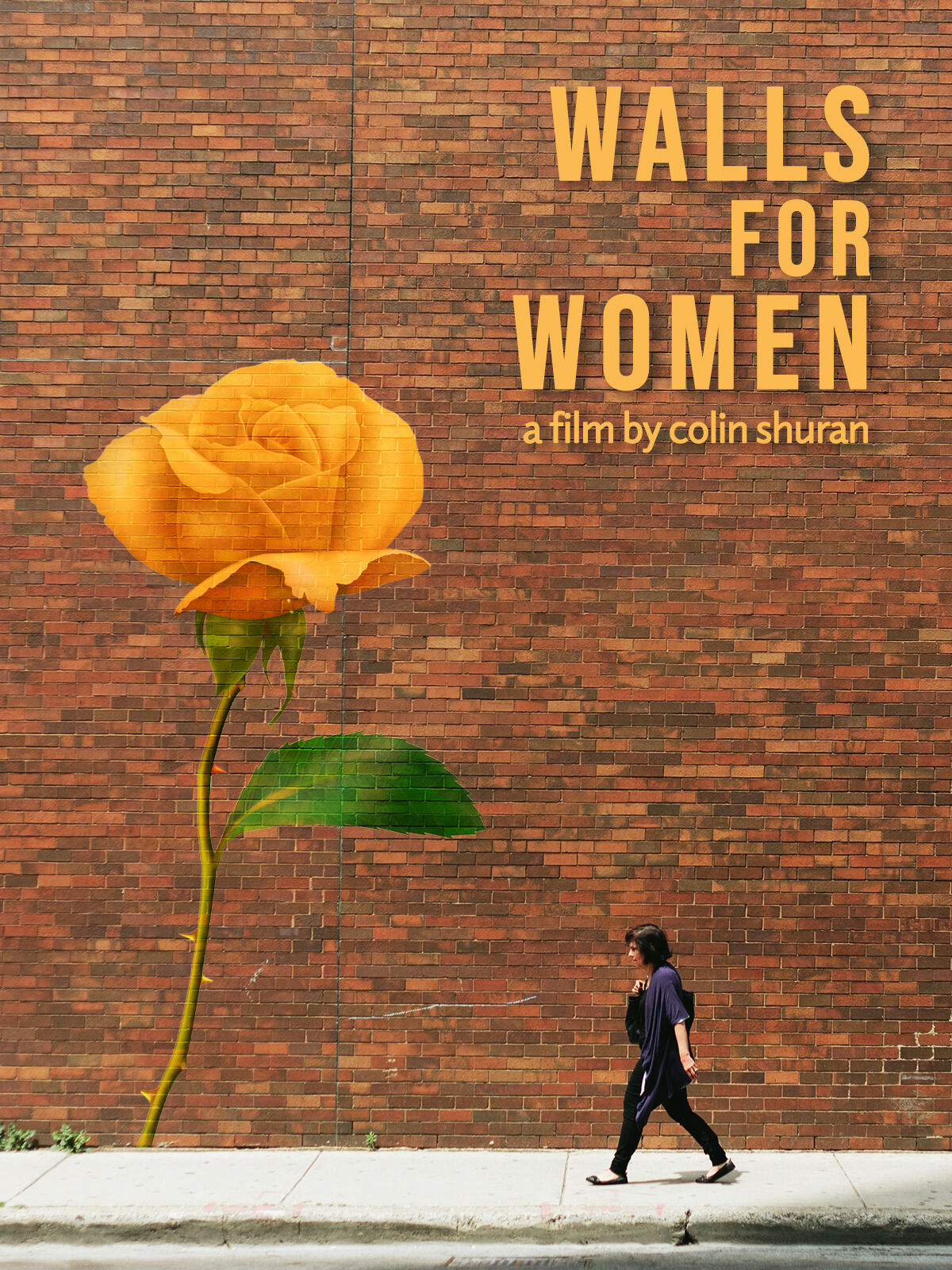 Walls for Women documentary